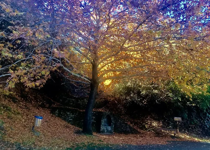 Saint Nicholas Heights Tatil Evi Chakistra