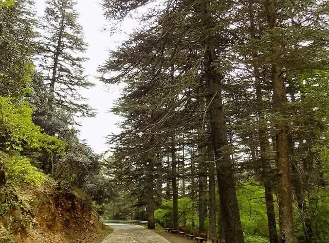 Saint Nicholas Heights * Chakistra