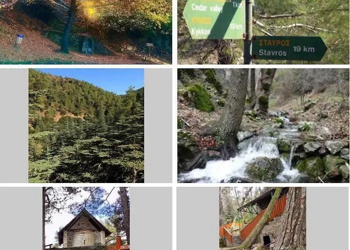 Saint Nicholas Heights * Chakistra