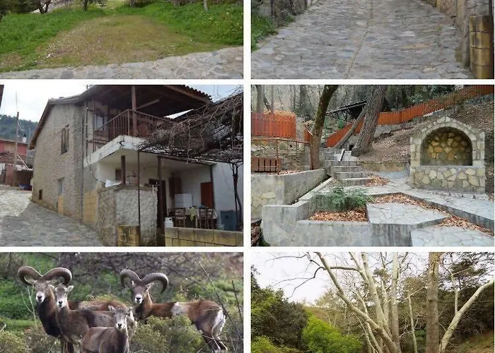 Saint Nicholas Heights