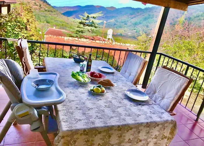 Saint Nicholas Heights * Chakistra