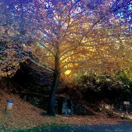 Saint Nicholas Heights Nyaraló Chakistra