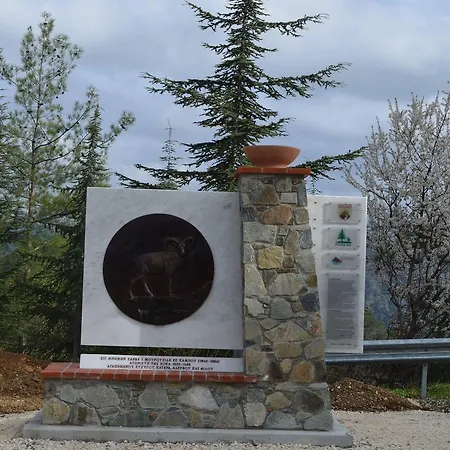 Saint Nicholas Heights * Chakistra