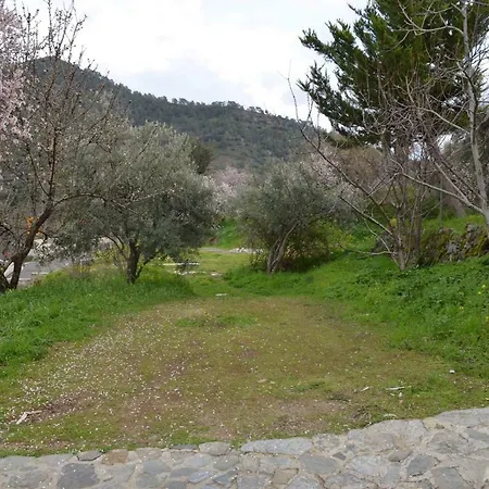 Saint Nicholas Heights