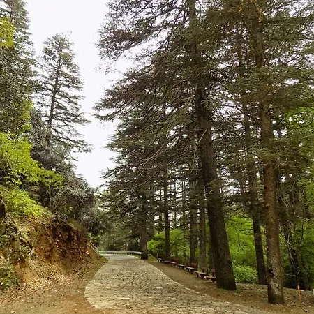 Saint Nicholas Heights * Chakistra