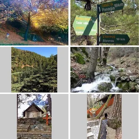 Saint Nicholas Heights * Chakistra