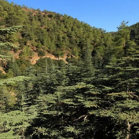 Saint Nicholas Heights Nyaraló