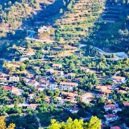 Saint Nicholas Heights * Chakistra