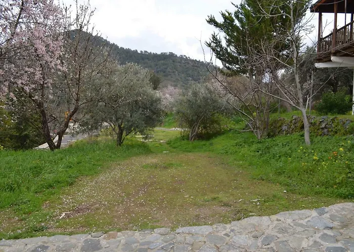 Saint Nicholas Heights