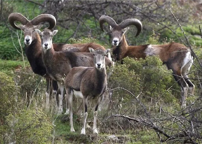 Saint Nicholas Heights بيت للعطل