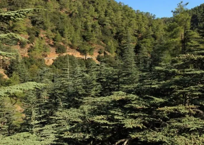 Saint Nicholas Heights بيت للعطل