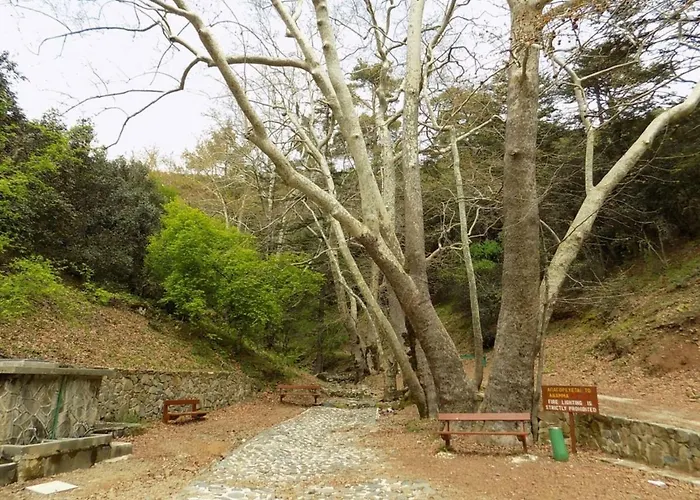 Saint Nicholas Heights Semesterbostad Chakistra