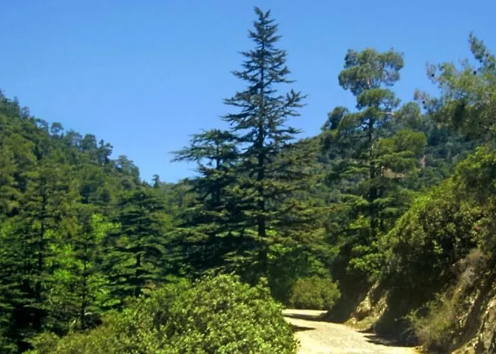 Saint Nicholas Heights Semesterbostad Chakistra